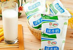 中医体质辨识系统生产厂家介绍冬季到来你的体质真适合喝牛奶豆汁吗？